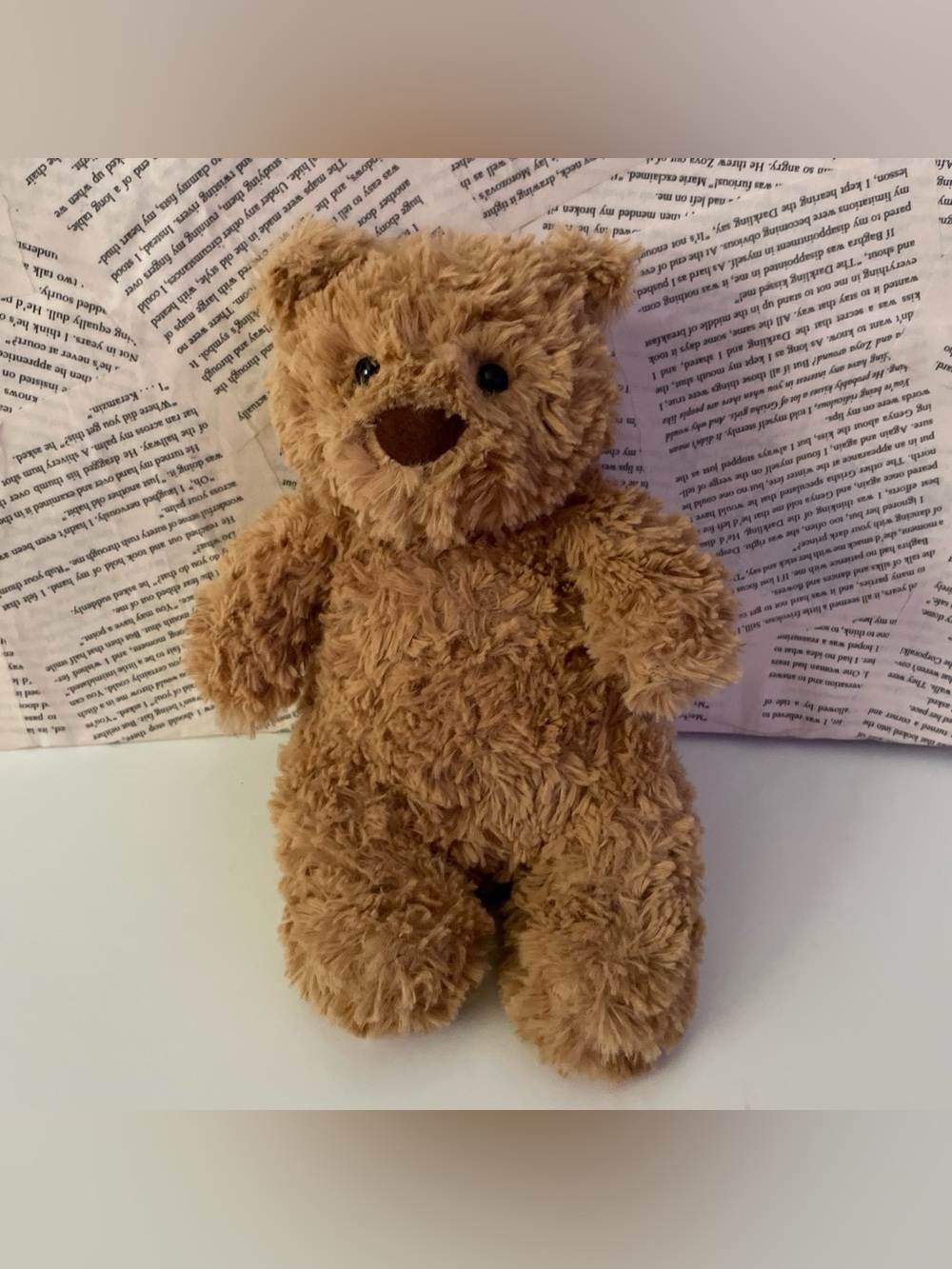 Brown Bear Plushie